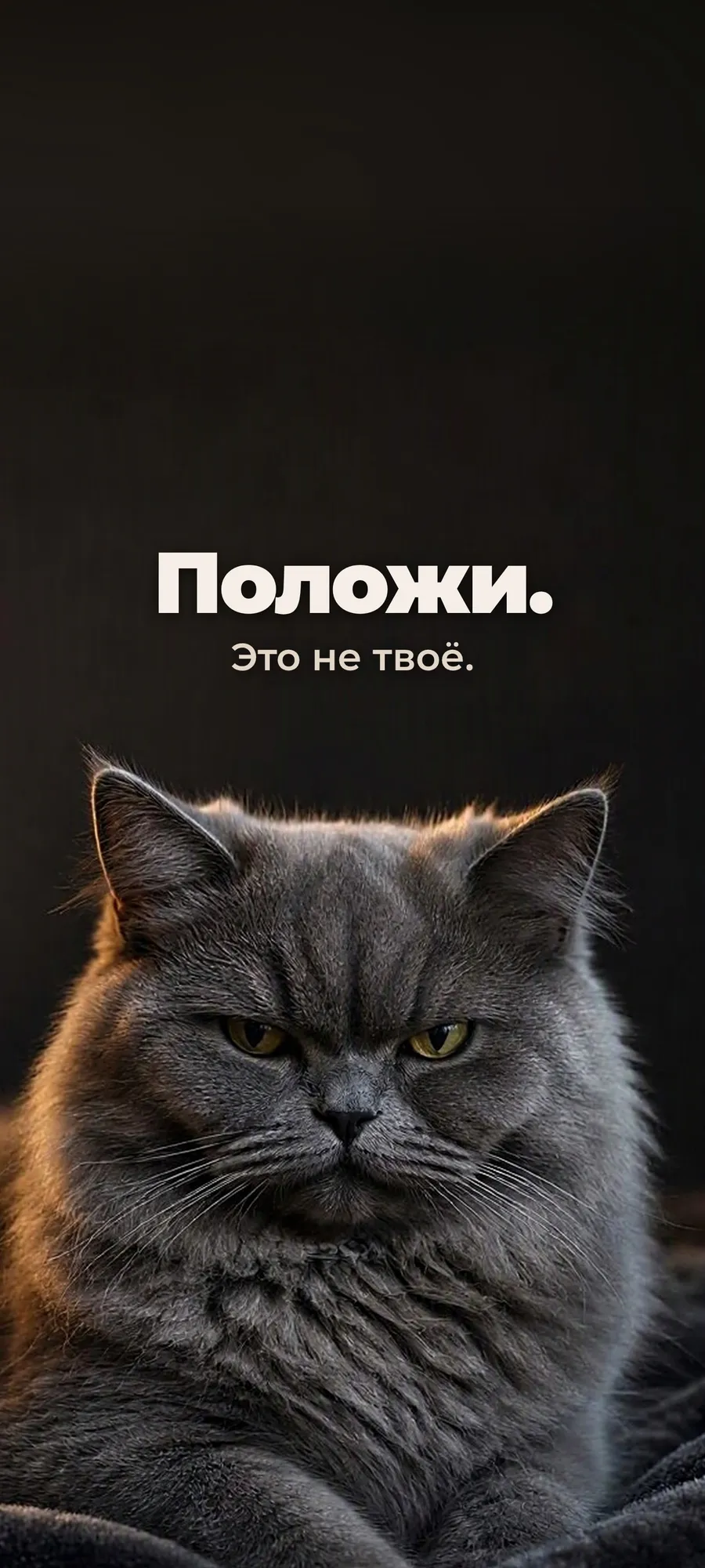 Бу! Бесплатные заставки на телефон к Хэллоуину — фото 9